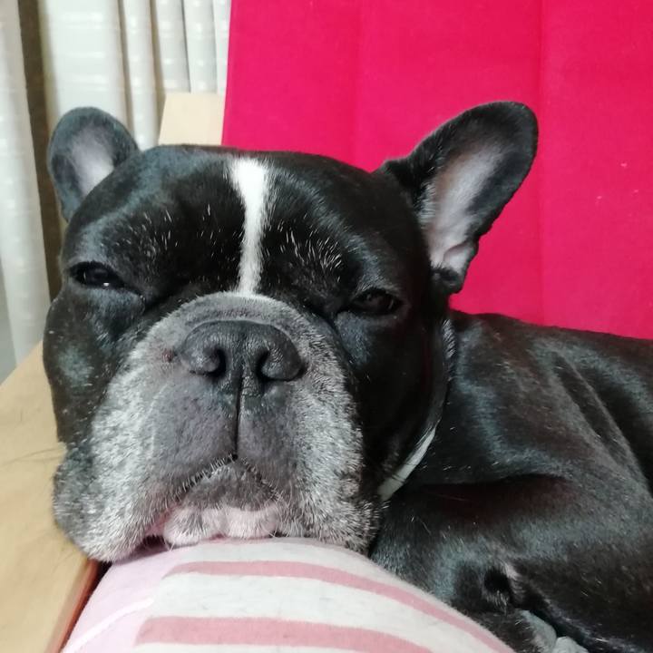 90ddc51e e099 44f6 b01f 63c4a64bba5d 1560862811217