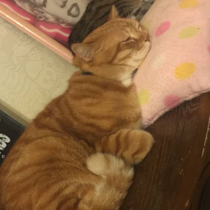 90ddc664 4c1a 4043 8d5d f9faa6dc7ae9 1552921196716