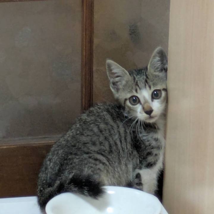 90dddf65 da19 40a1 adfd 743dfdcdaa9d 1751875697137