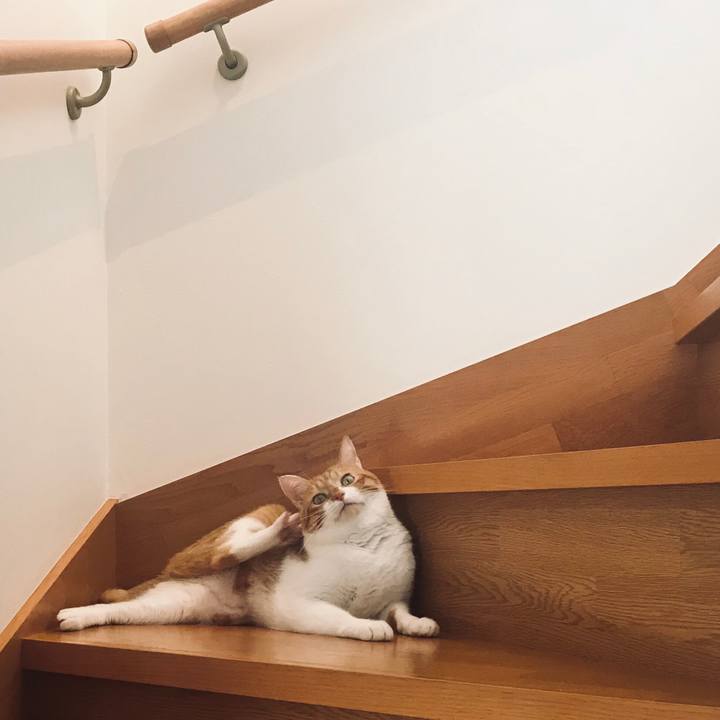 90dde0f1 88a1 4240 a598 e9f7d1a153aa 1547167453769