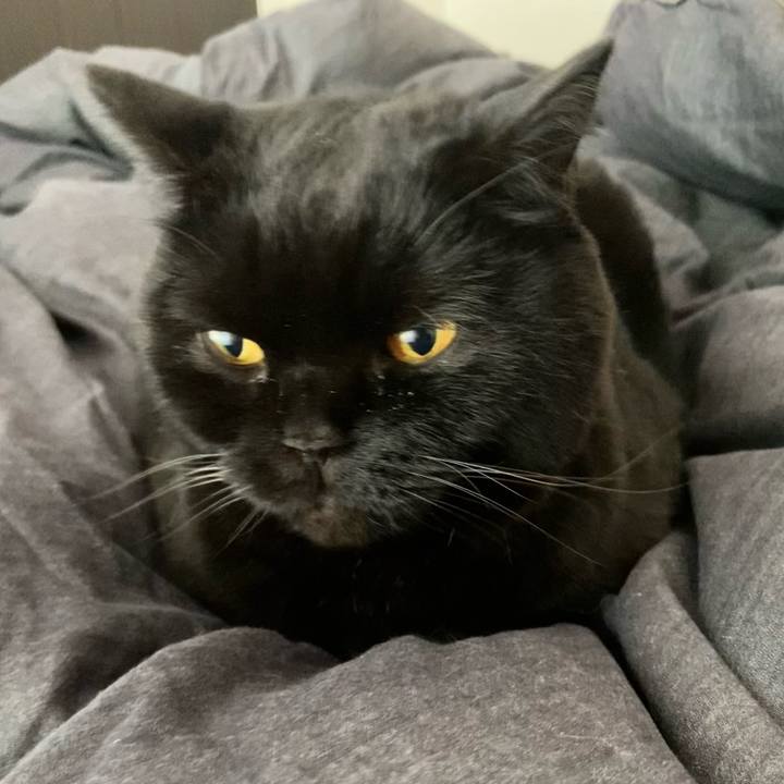 90de019b 8d30 48bb bdda 354f23eb26e0 1767132773993