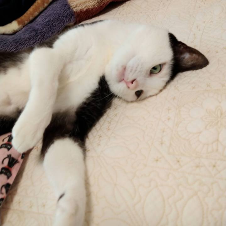 90de25e6 e59f 40de 92b7 cd44e48749cc 1625042446649