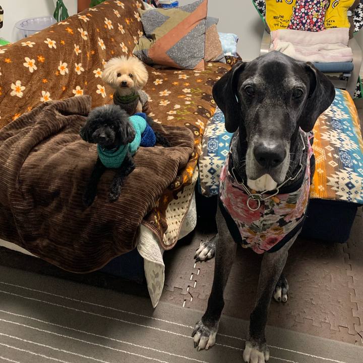 90de3748 0e5e 4381 8041 2a09a1609e26 1609109528766