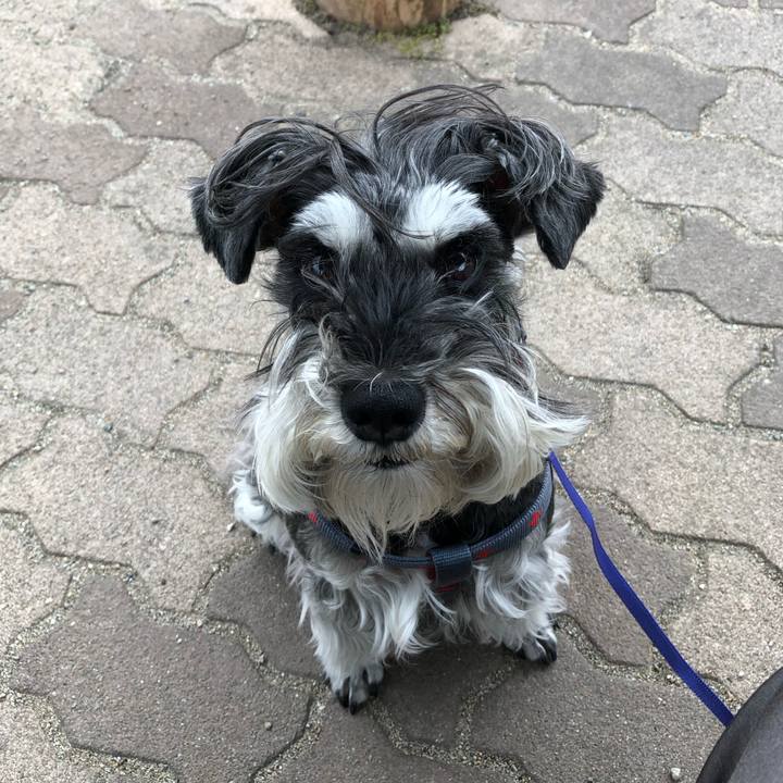 90de38e8 d7a7 4984 9c2a a8e1eea59bbd 1683383674733