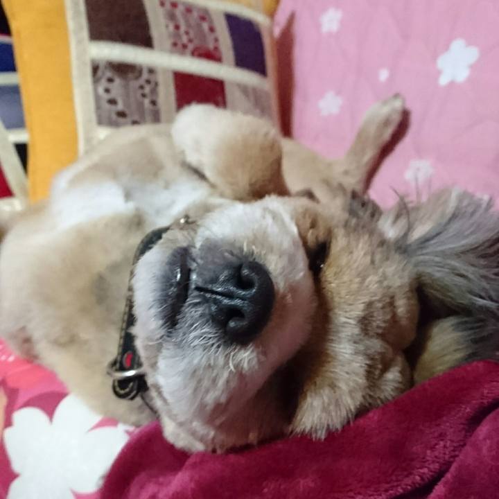 90de6da4 7da9 46c8 91c5 93f68e408547 1525874087904