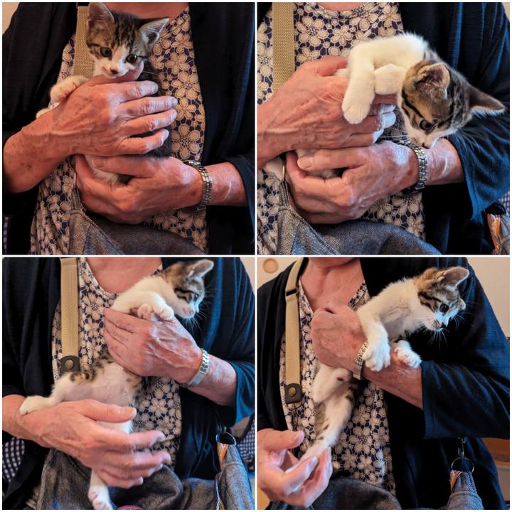 90de9142 4635 4658 8cf5 c44efc40bb50 1718263231472