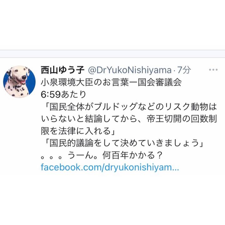 90de9616 6796 411a 8250 b8f83a5b7196 1615889320530