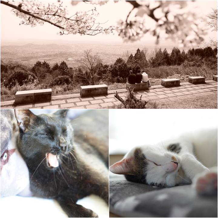 90deaac0 cff5 4626 a8a7 6eb874eb47fb 1555889541601