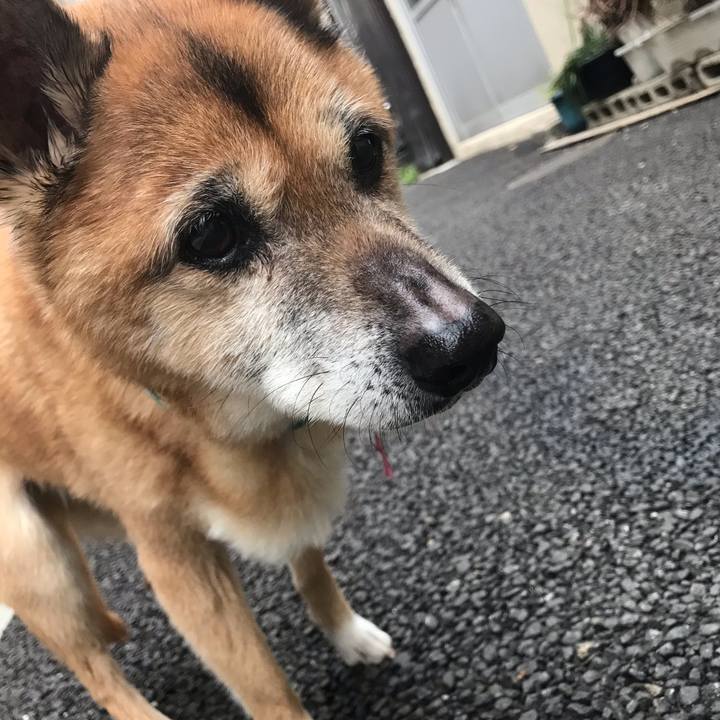 90deca1d a541 44d9 b6c8 46a017733a3c 1553811574453