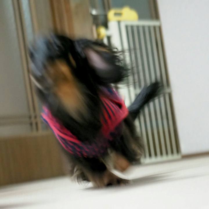 90dee865 3164 4d8b acc1 ce6ea7f3003f 1553921940570