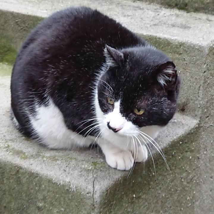 90df0742 cfe2 4383 a9a9 fc2dab74e27b 1671593100920