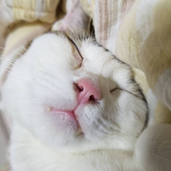 90df0f0d bedb 4814 86b4 640690cc5fa8 1578739693327