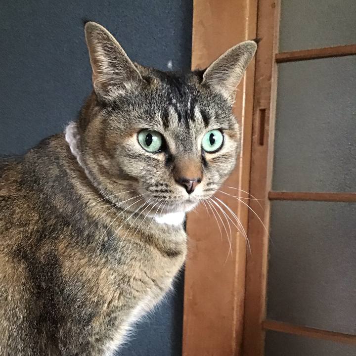 90df2328 b541 4e1e 8cc6 ca59ca16b92b 1742090530549