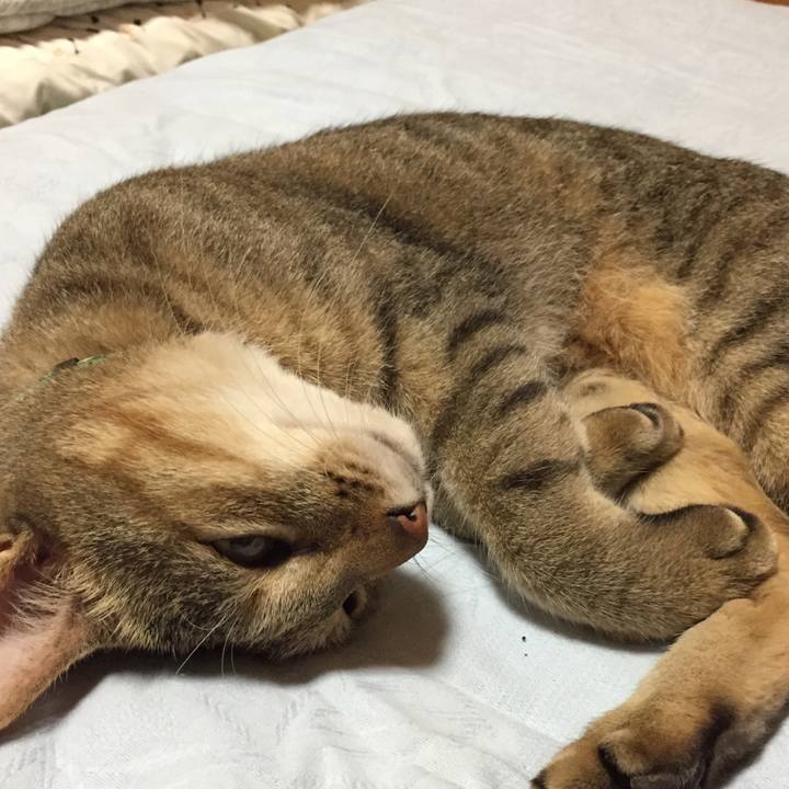 90df252a 2062 411d b7e0 bbe7c621cb92 1536162847914