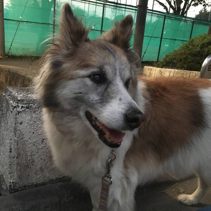 90df26d9 5bdb 4ac6 b055 ac245643b718 1510734086388