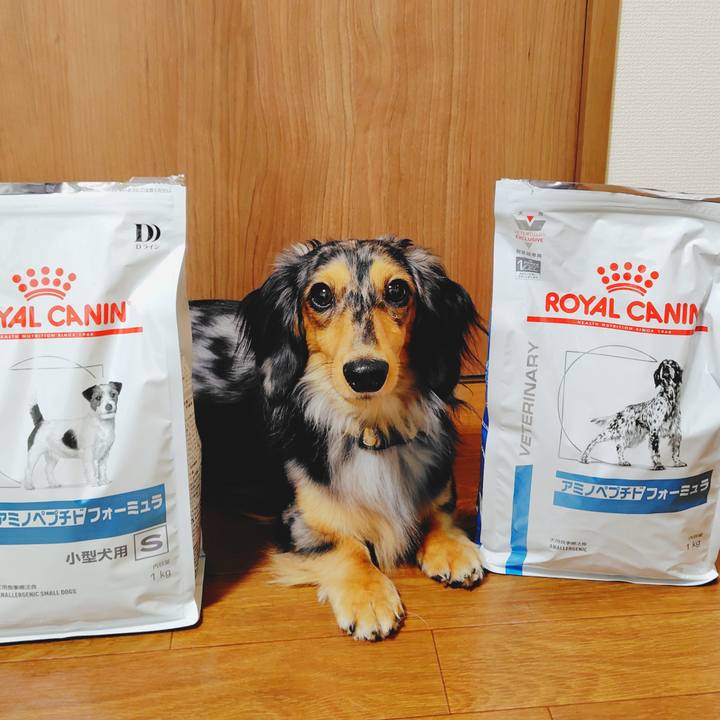 90df63fa 7856 47e6 96ad 340e176de6ec 1761131320339