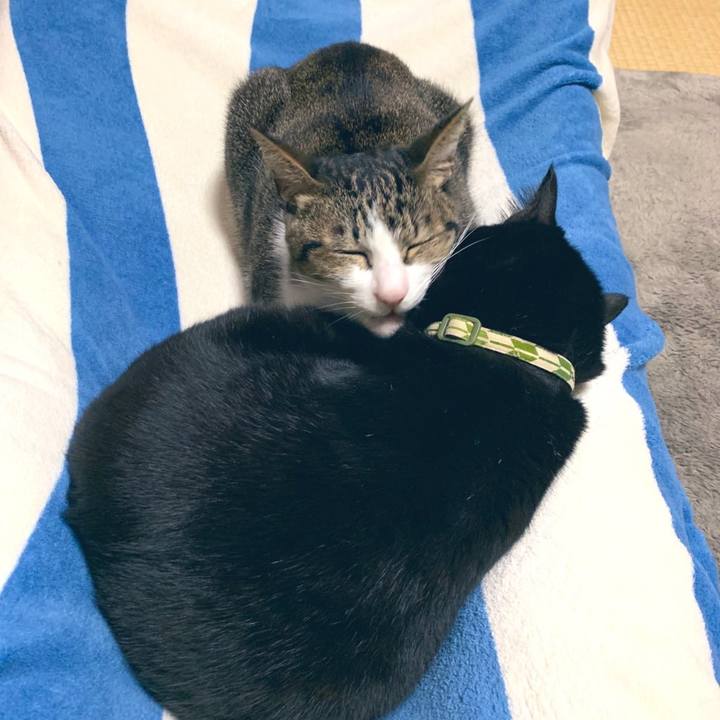 90df9dcd 99f9 44b5 af5a f20379372e55 1573479538156