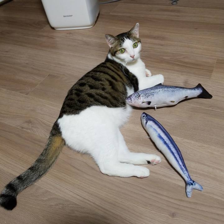 90dfc81f ddfb 4c95 8610 31b4d5af3e6f 1576187321037