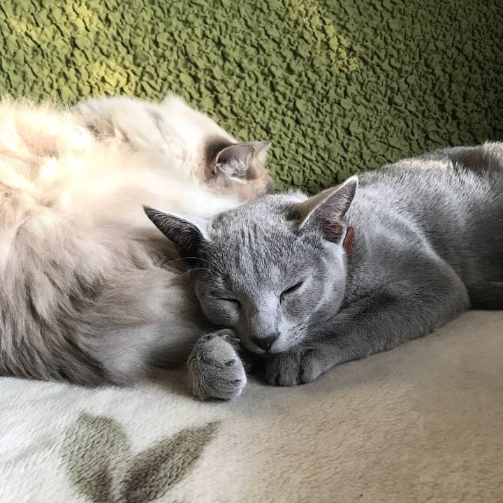 90e00c4d 2000 498d 9406 81d5b24008e0 1516283395365