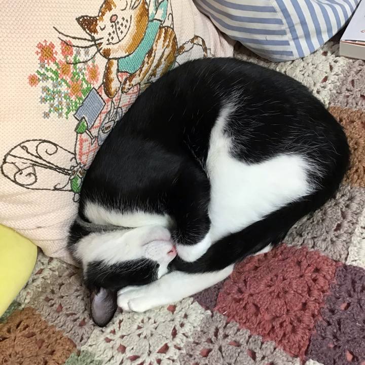 90e017e0 18bf 480f 99f9 f845bf9ccf33 1639991650086