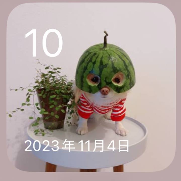 90e03828 b653 498b a968 9665fe3b0497 1762748671900