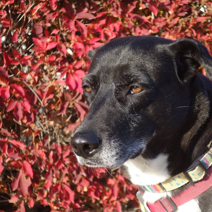 90e052d2 aaec 41e3 91b9 f9d2569a0fce 1701306404683