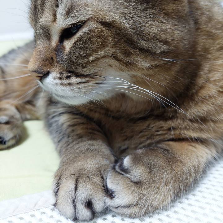 90e0a9fa e9e6 4485 b073 b34eaf52fc1a 1643413326537