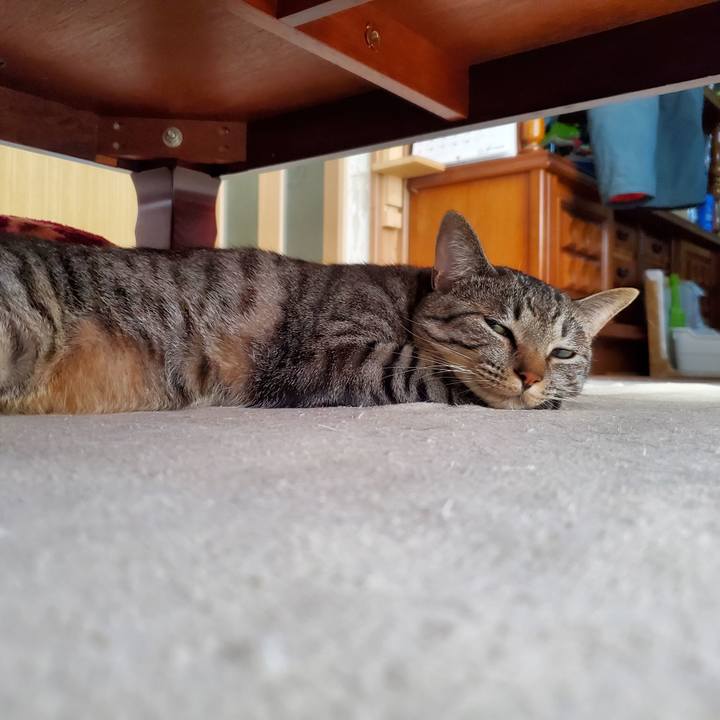 90e0f5ee 5633 45a6 9784 1023700c3ad1 1708090007135