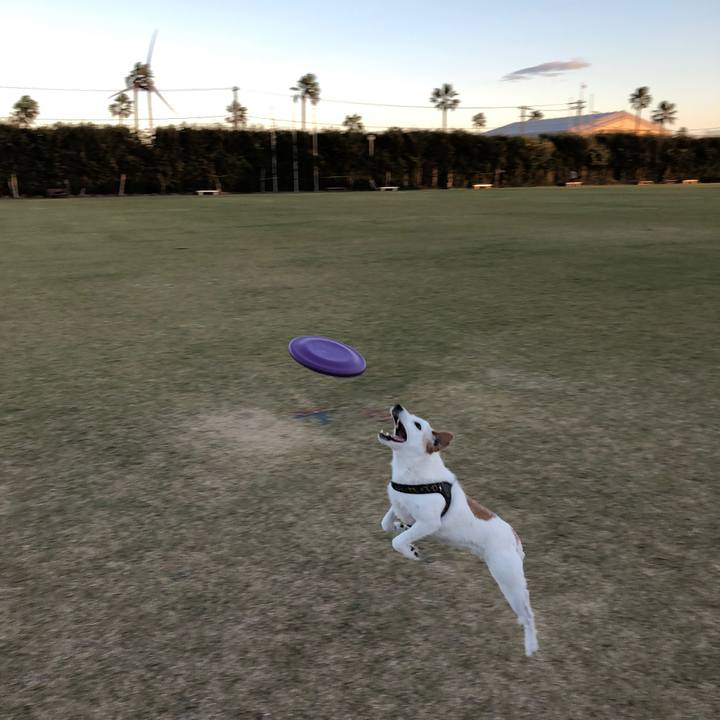 90e101d6 cbdd 423f a6d0 ec52c9dcdf08 1511081484865