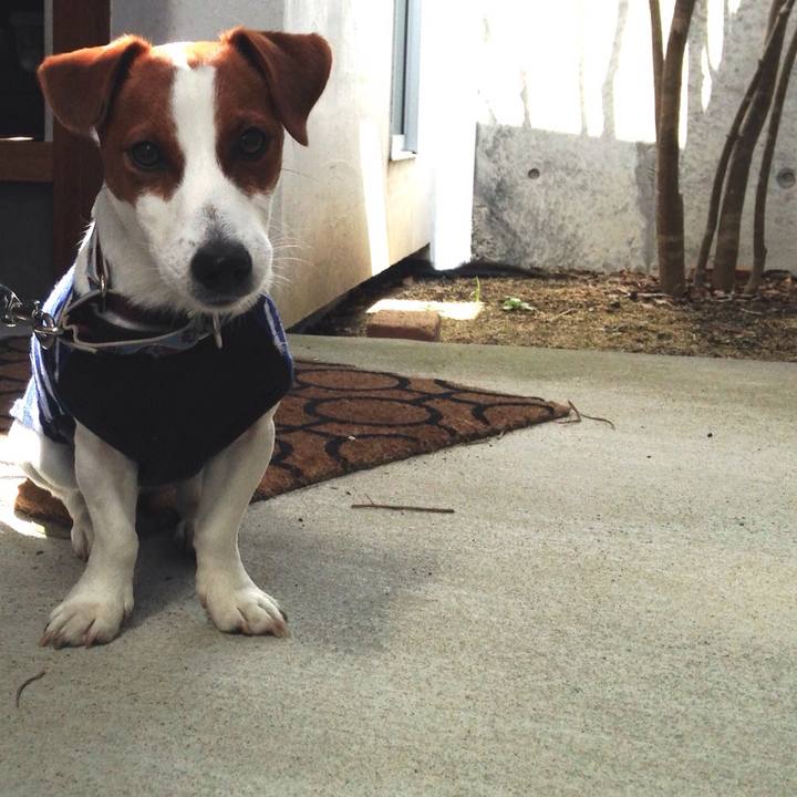 90e13b2c 411c 4060 a6ee aff9e1454cd7 1524647005499