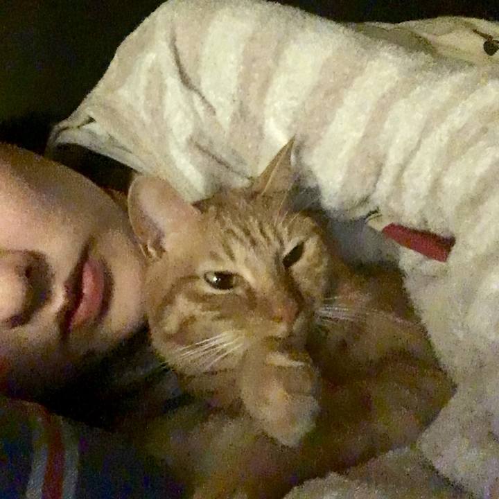 90e13c4b 052d 40cf 90c7 4e52158cb435 1511276432523