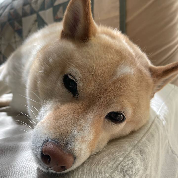 90e15265 532c 4573 a764 12cdea9f3d12 1715731140282