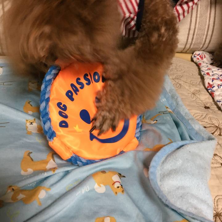 90e19770 3214 49e5 946f ccf9f0400cbe 1527938085199