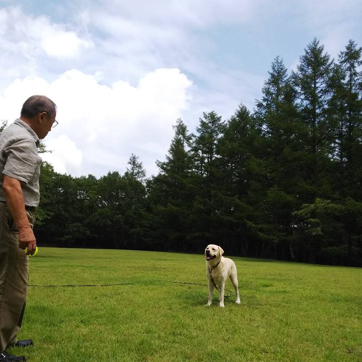 90e19cd3 8ddd 4bba 9932 734b6326f708 1566098492608