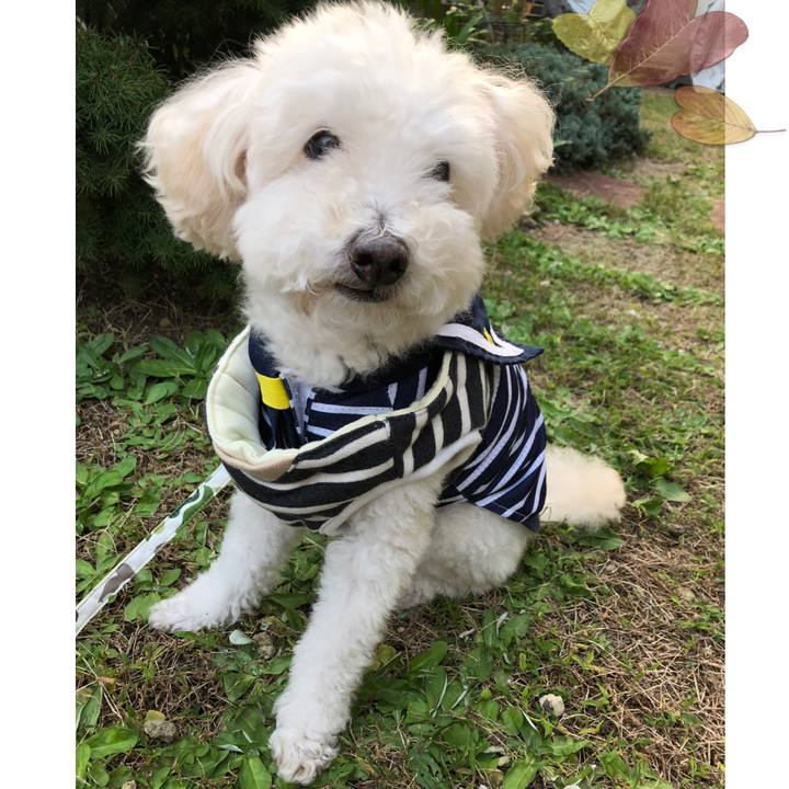 90e1b147 28c3 4b11 99fb 3ac737a5ddfb 1540373217032