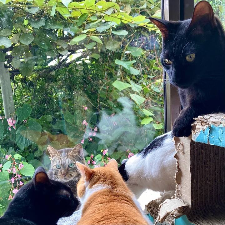 90e1c638 9472 4e80 aac8 8ce0a2b0c7fc 1662858715938