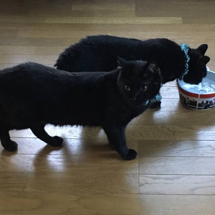 90e1efb6 9b14 49e1 a5d5 8e4c5fa27b35 1532355351619