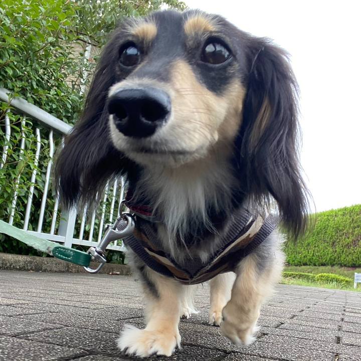 90e20b25 cc02 4e2d 90c3 39015623759d 1755042864492