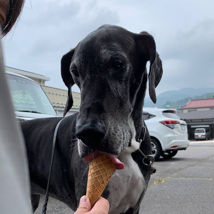 90e23449 778d 4c2f 92d6 25df75a14a9a 1596935101080