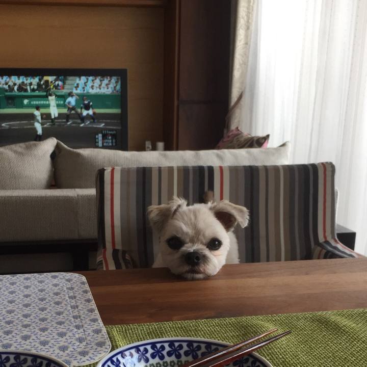 90e23954 9d99 41c9 8bc5 97f53c517041 1533954433785