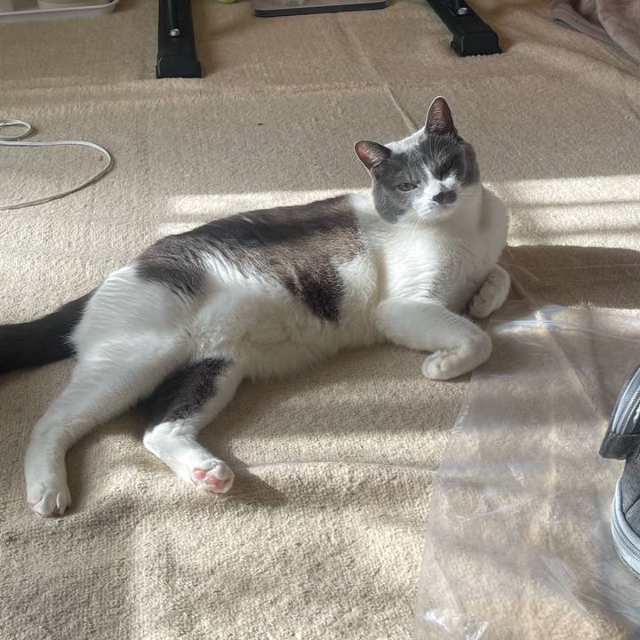 90e24df1 bede 4663 9a4d ddb2a3a61497 1703472680549