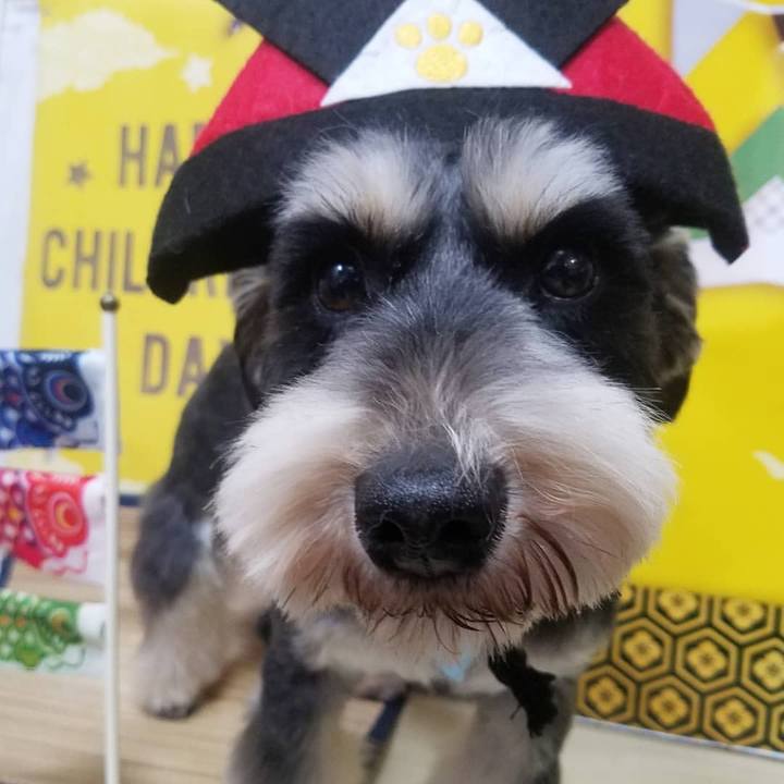 90e25792 496e 49e4 92f9 447b1b32d136 1620309593135