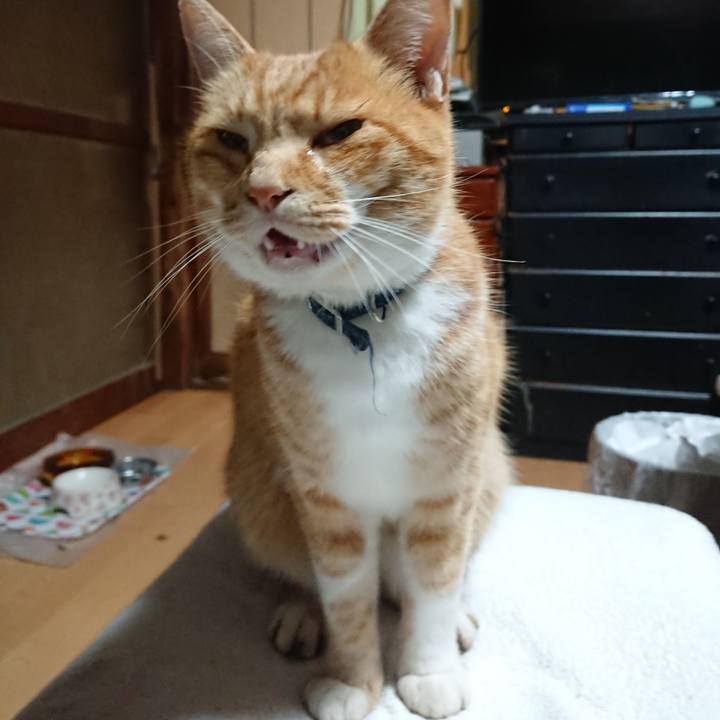 90e263ca a429 46cb 8e35 b7e01aa9172f 1604346086910