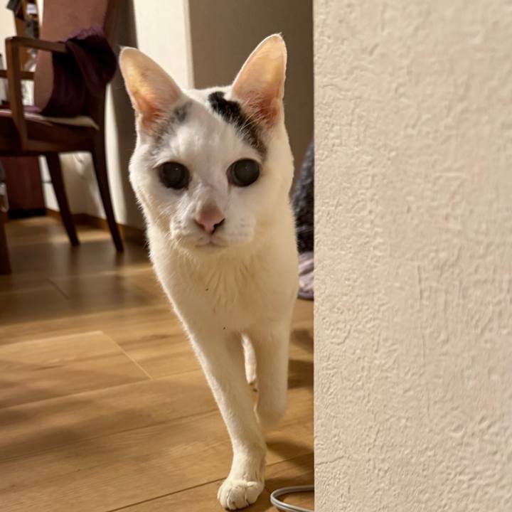 90e26746 f294 46ba 80db e812b5cb50cd 1768898642861