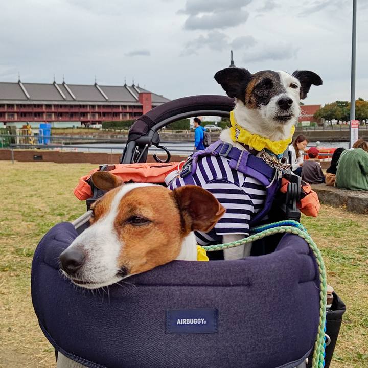 90e26dc2 9c31 4eda 8e75 b9555a870ac7 1668333071936