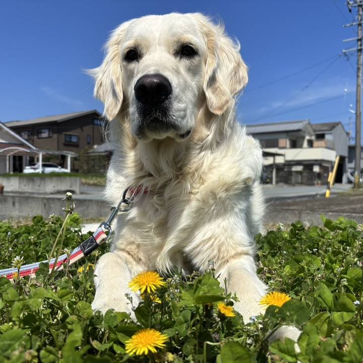 90e2cec8 32a1 4232 995a 42cdf6a0b123 1775183759613