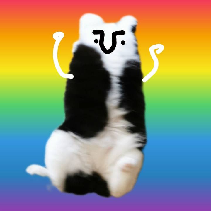 90e2d632 381b 448c 8c0f 6dfeabad4be1 1652844697488