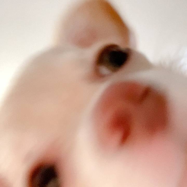 90e2d945 0db4 495a 981f 4d7c291eab14 1597007513260