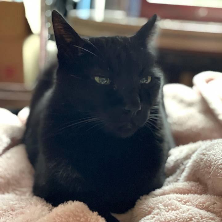 90e2e5aa f898 420a 9c68 eeacc9126a31 1616895696461