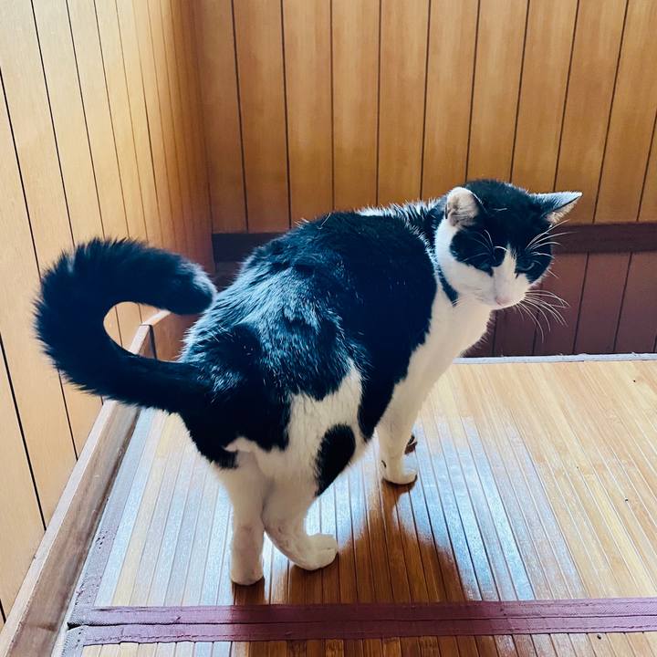 90e3076b a361 40b5 8b8a acfbd4575902 1612143663680